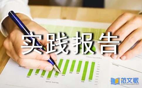 【精品】社会实践报告集锦七篇
