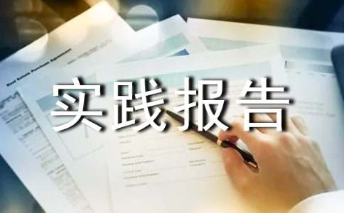 社会实践报告模板汇总六篇