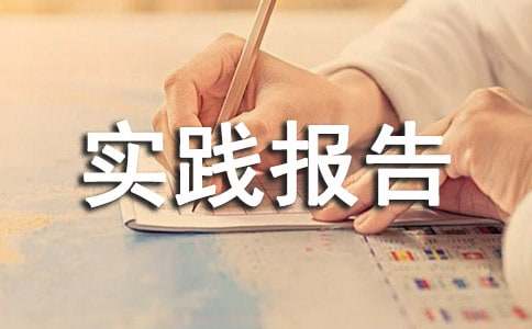 社会实践报告模板合集9篇