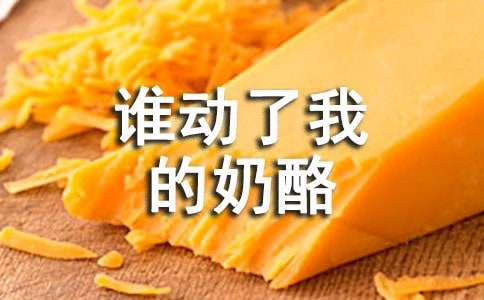 《谁动了我的奶酪》读后感(15篇)