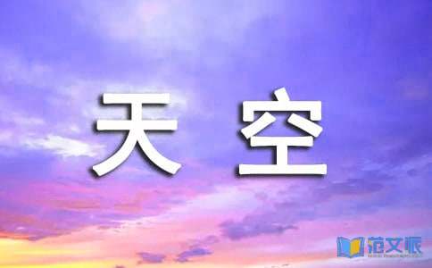 《天空之城》观后感(精)