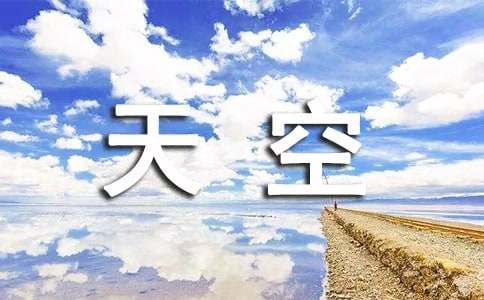《天空之城》观后感优选[2篇]