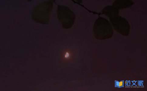 经典治愈晚安问候语65句精选