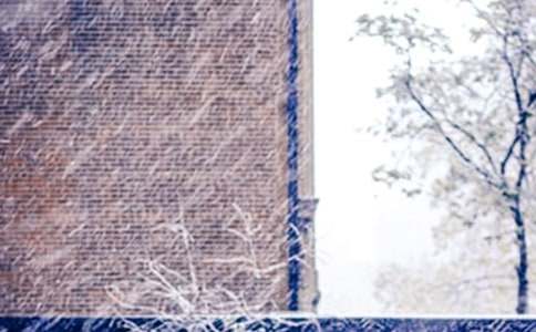 下雪的感言15篇