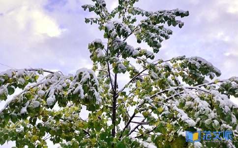 下雪个性留言句子（通用50句）