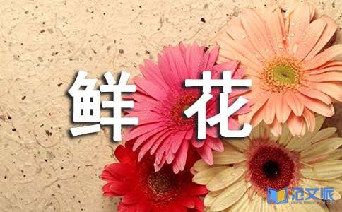 五月的鲜花节目观后感