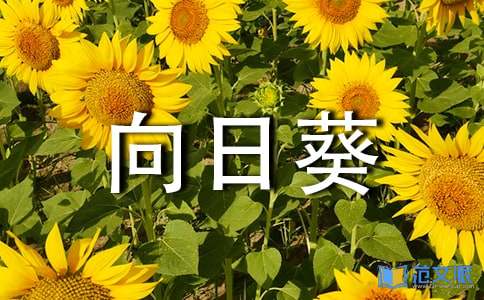 向日葵女孩观后感