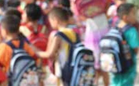 小学生社会实践报告