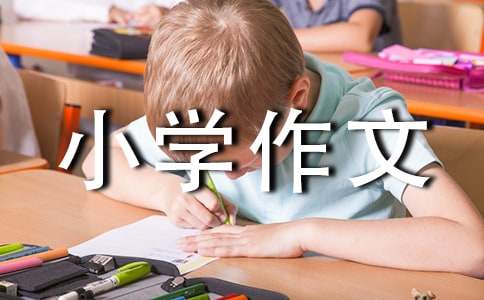《睡美人》读后感小学作文