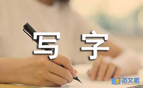 小学写字活动总结
