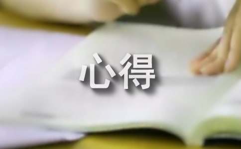 照明电路实训心得