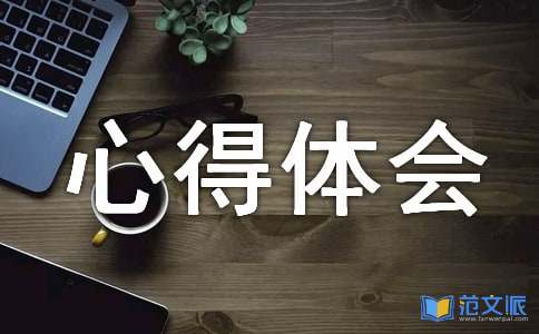 【实用】心得体会作文300字八篇