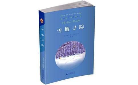 雪地寻踪读后感心得体会范文