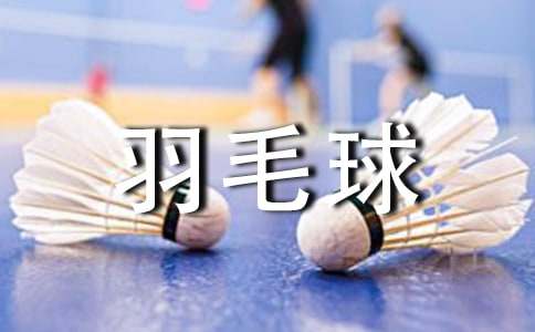 羽毛球比赛活动总结通用15篇