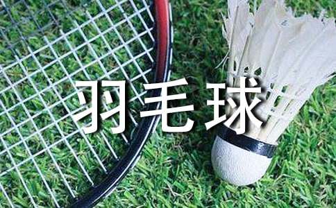 羽毛球的活动总结