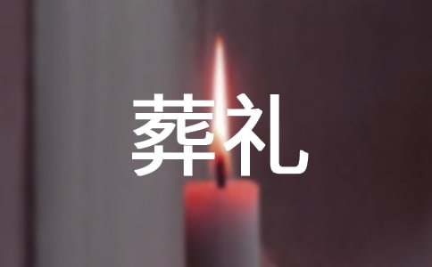 穆斯林的葬礼读后感15篇