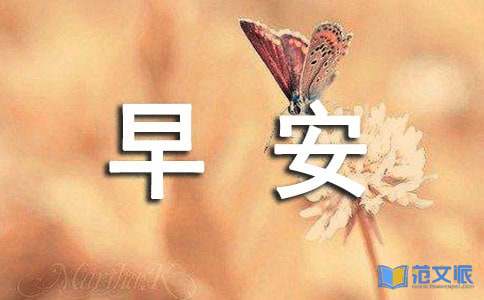 2023年简洁的温暖的早安QQ问候语大集合64条