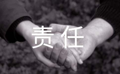 责任督学工作总结