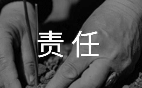责任胜于能力读后感