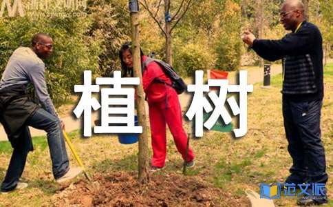 植树活动总结
