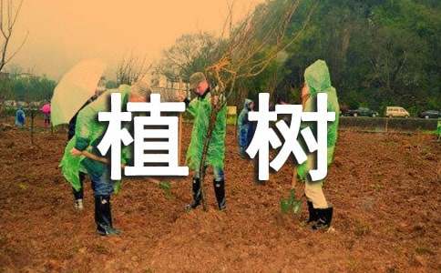 学生植树活动总结通用