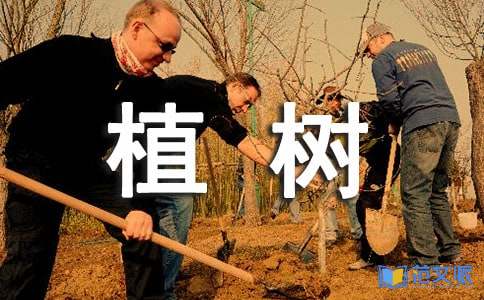 三月植树活动总结