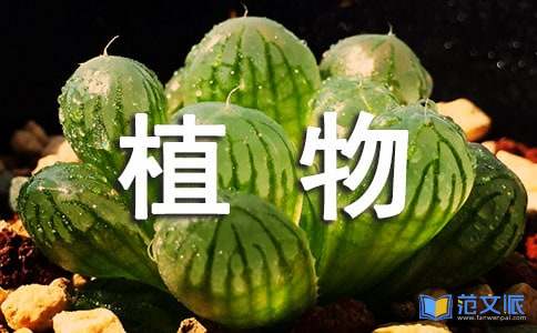 植物学实习报告
