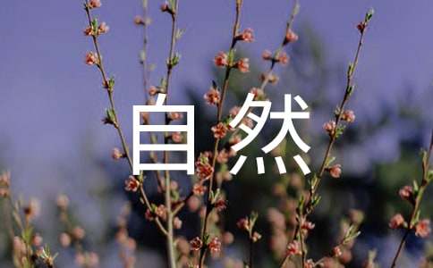 人与自然的观后感