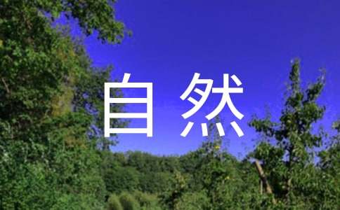 《人与自然》观后感(15篇)