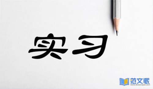 个人实习心得汇编15篇