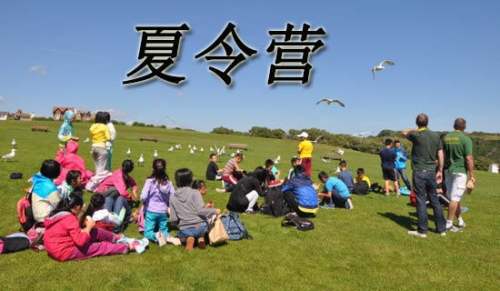 关于暑期夏令营的活动总结